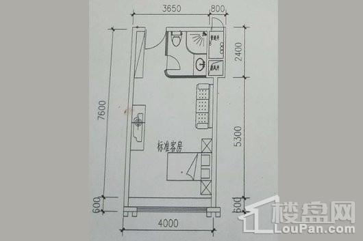 阳光紫荆花园F户型 1室1卫