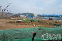 国宏立泰·桂花园在建工地