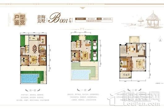 碧桂园君悦海亲海美墅001户型 4室3厅4卫1厨