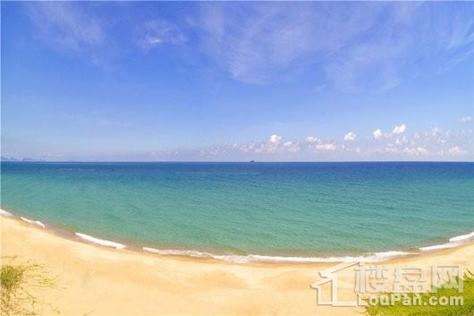碧桂园君悦海周边 项目沙滩