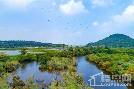 鲁能山海天泰山7号周边 宝翎河湿地公园