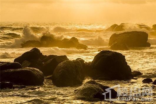 鲁能山海天泰山7号周边 石头公园