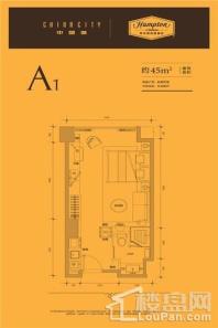 中国城A1户型 1室1厅1卫1厨