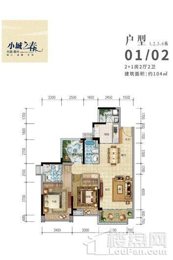 方圆·雷州小城之春1.2.5.6栋01、02户型 3室2厅2卫1厨