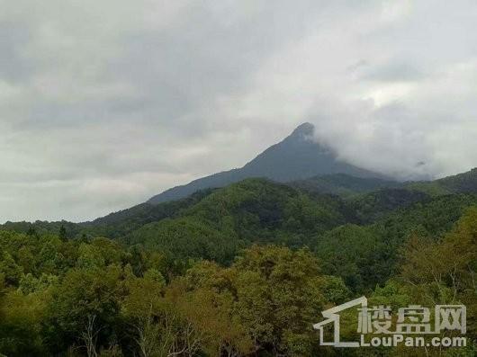 泺海蝶泉湾周边配套-五指山热带雨林风景区