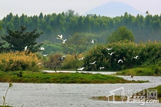 昌江富安花园周边湿地公园