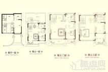 鸿顺温泉小镇别墅户型 5室5厅4卫1厨