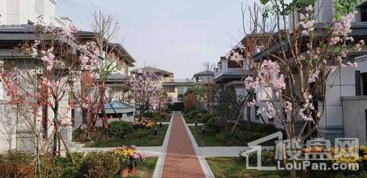 鸿顺御龙湾小区实景