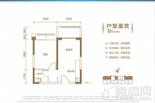 碧桂园·海泉湾克拉公馆C户型 1室2厅1卫1厨