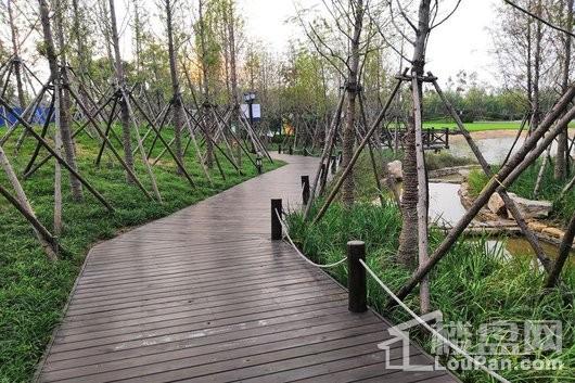 运河岸上的中国院子项目小区实景