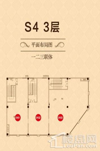 金悦国际S43层户型 1室1厅