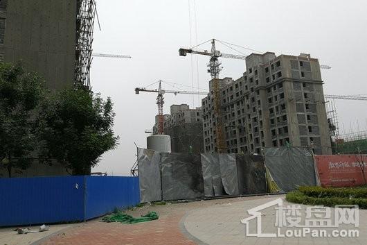 百丰·中都尚城项目高层实景（2018-05-29）