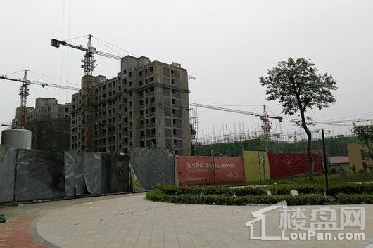 百丰·中都尚城项目高层实景（2018-05-29）