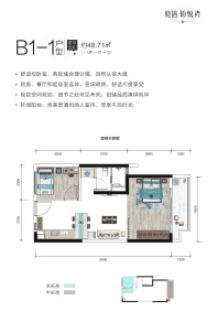 B1-1户型 1+1房一厅一卫 48.71㎡ 赠送11㎡