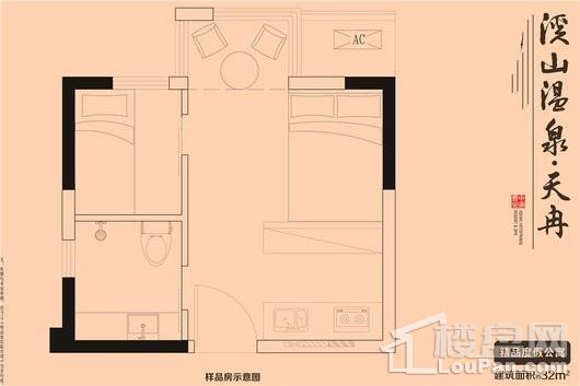 溪山温泉·天冉精品度假公寓32平 2室1厅1卫1厨