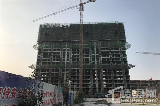 藁城东城国际正拍单栋工程进度图