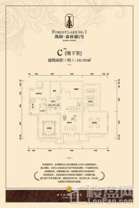 森林湖1号c户型地下室 11室7厅6卫2厨