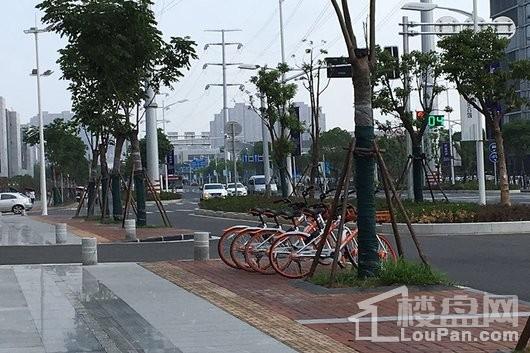 星悦城项目周边共享单车