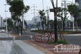 星悦城项目周边共享单车