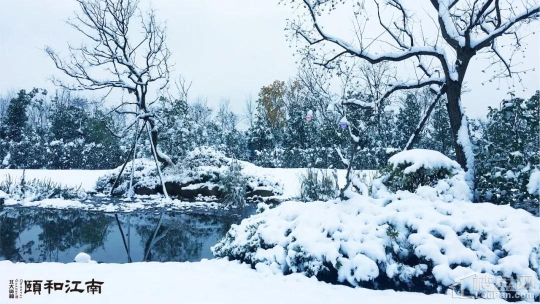 北大资源·颐和江南雪景图