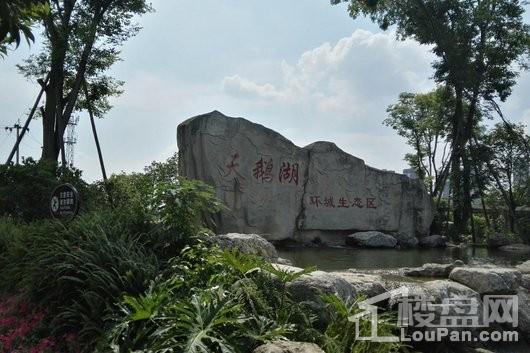 华润置地云庭润街天鹅湖湿地公园