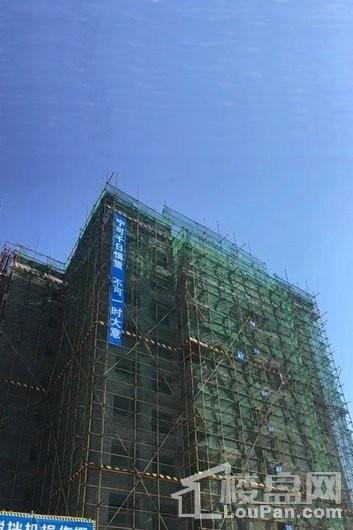 建业·法国维希小镇A1号楼工程进度