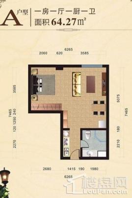 鑫桥温泉度假酒店公寓A户型 1室1厅1卫1厨