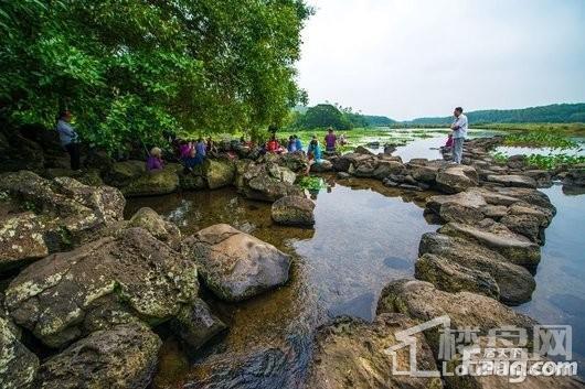 海口绿园仙民物流新城周边 温堂冷泉