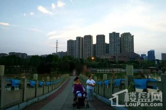 佳兆业悦府周边凤凰湖实景