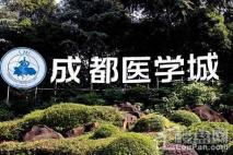 置信逸都城周边医学城