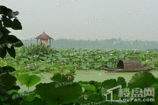 新希望锦麟府周边三圣乡风景区