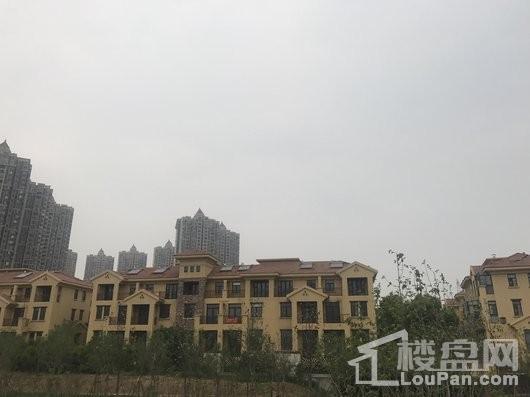 原树提香楼栋实景