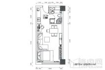 伊真·中央御园公寓A2户型 1室1厅1卫1厨