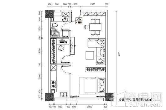 伊真·中央御园公寓C户型 1室1厅1卫1厨