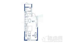 天庆天诚丽舍C6户型 1室1厅1卫1厨