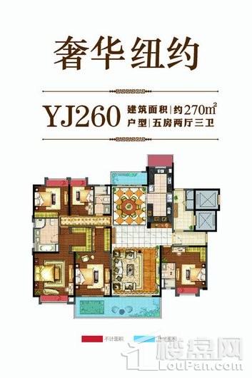 时代悦城YJ260 5室2厅3卫1厨