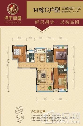 洋丰嘉园14栋C户型 3室2厅1卫1厨