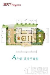 荆门壹號院A户型-首层平面图 6室6厅8卫1厨