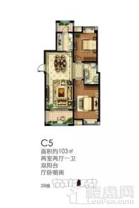 万江共和新城C5户型 2室2厅1卫1厨