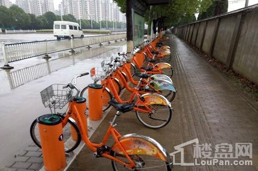新城璞樾钟山金马路站旁公共自行车