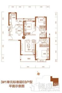 石狮恒大名都3#标准层-03户型 3室2厅2卫1厨