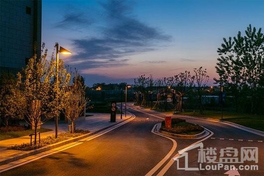 瑞安翠湖山小区内道路夜景