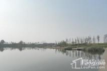 长江熙岸孔雀城周边湖泊