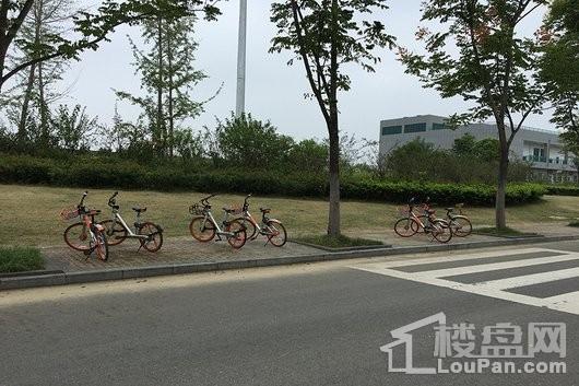 和昌仙林国际项目周边共享单车