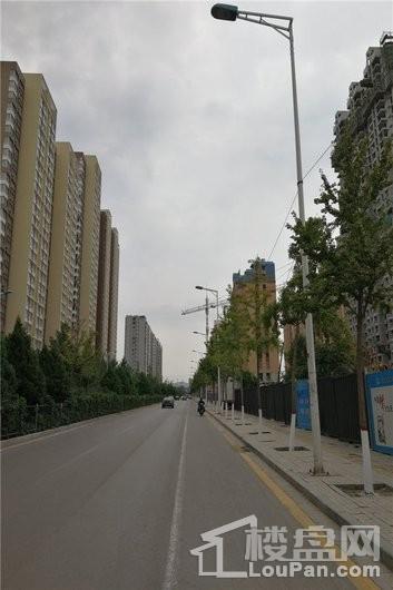 金林雅苑周边道路