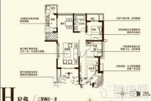 铜陵星雨华府H户型 3室2厅1卫1厨