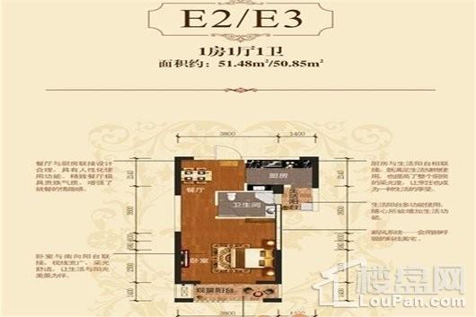 铜冠一品江山E3户型 1室1厅1卫1厨