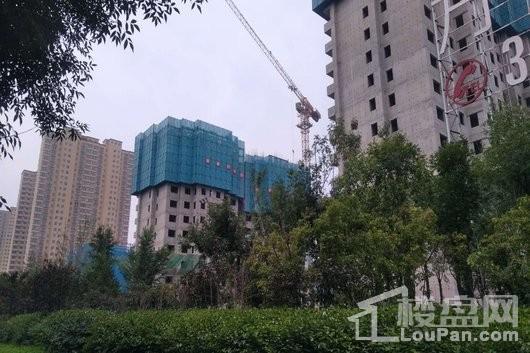 万科紫院小区在建工地实景