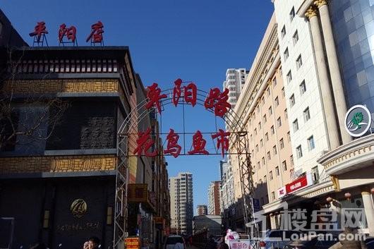 聚星特区周边花鸟鱼市场