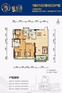 蟠龙湾1栋01/02单元03户型 3室2厅2卫1厨